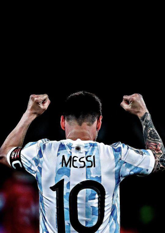 绫球好玩有讲究（玩转绫球有门道）